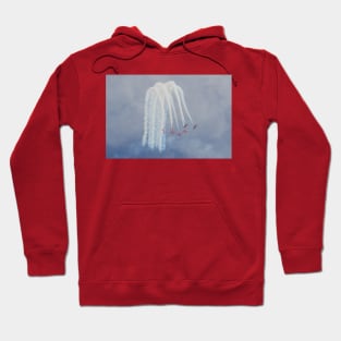 Up and Over: Snowbirds Hoodie